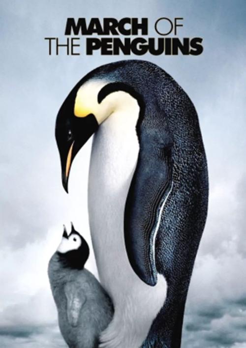 关于“帝企鹅日记”的思考