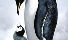 《帝企鹅日记》观后感