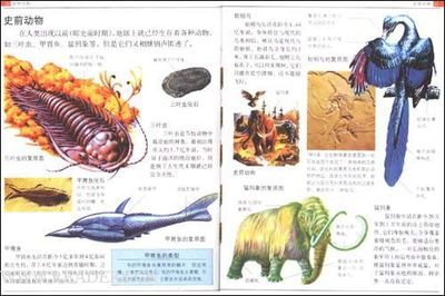 看完动物百科全书