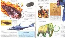 动物百科读后感