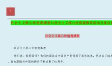 我们的价值观读后感800字