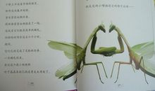 昆虫记读后感1200