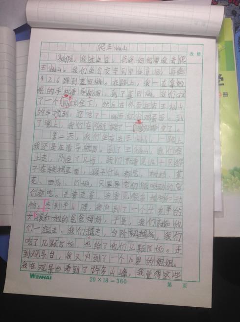 春天在这里观察日记