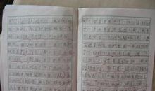 团结合作的作文