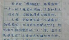 关于团结合作的作文