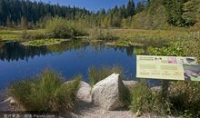 去森林公园春游作文