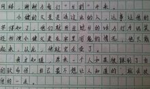 老师谢谢您作文