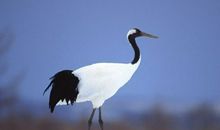 经典语句：爱他，就如他所是