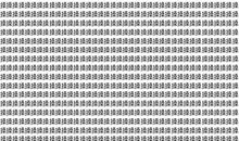 军训感悟作文500字