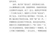 寒假最开心一件事作文