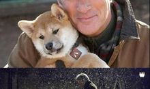 忠犬八公读后感