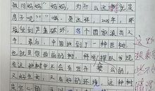 家乡的小吃作文500字