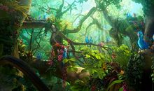 里约大冒险2观后感