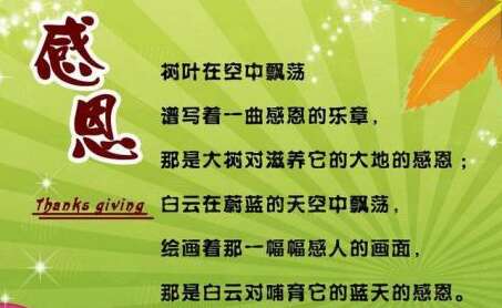 谢谢老师写500字