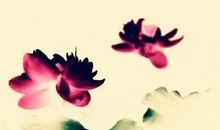 难忘的相识瞬间