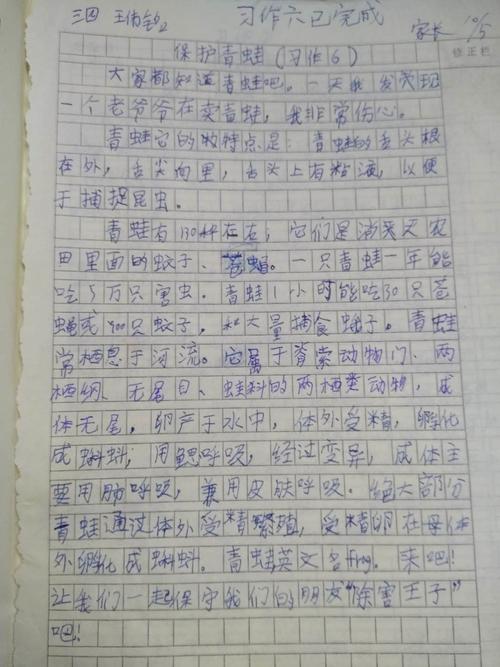 保护青蛙的构图250字