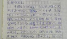 保护青蛙作文250字