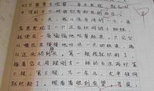 关于感动的作文500字