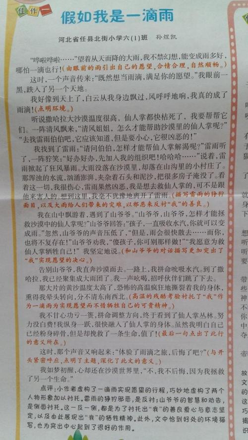 如果我是雨作文