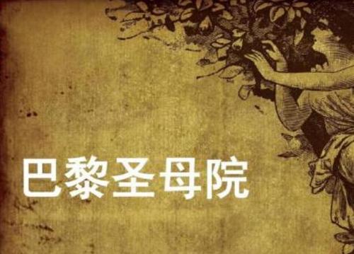 看完巴黎圣母院的故事