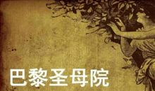 巴黎圣母院故事读后感