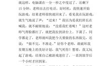 电脑迷作文600字