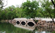 家乡的小桥作文