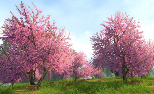 关于“凋零的桃花心木”的思考