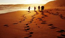 人生路上坎坷多作文