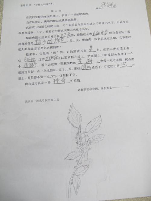 爬行者的作文500字