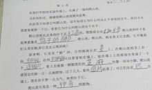 爬山虎的作文500字