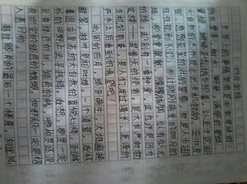 450个字