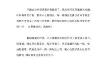 爬山虎作文400字