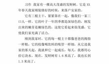 观察日记300字大全