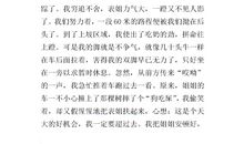 我的寒假计划作文