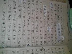 未来的故乡作文300字