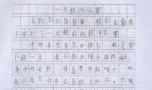 合作的作文400字