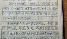 保护鸟类作文200字