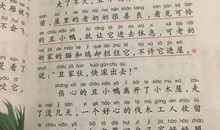 读一本书的读后感