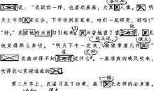 爬山虎的作文300字