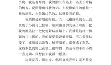 爬山虎的作文400字