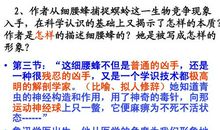 《春末闲谈》读后感