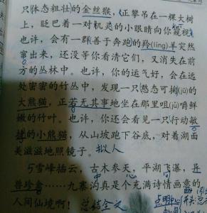 时间过得太快，作文600字