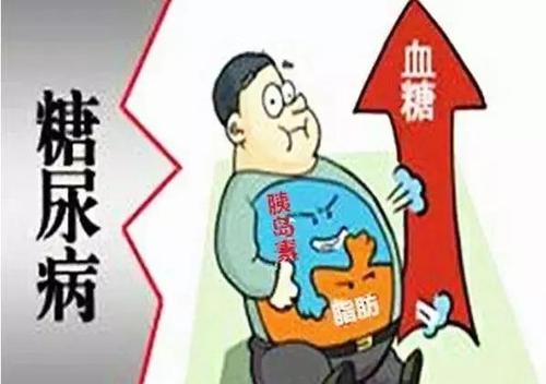 肥胖构成的危险