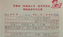 玩中的乐趣作文