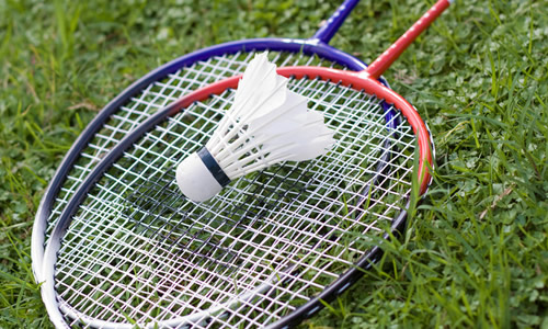 描述打羽毛球的构图