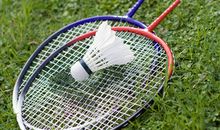 描写打羽毛球的作文