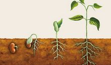 企业管理经典语句