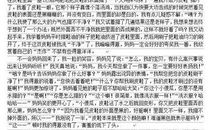 玩中的趣事作文