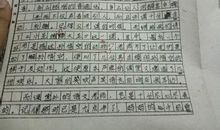 带来的感动作文